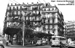 Ancienne Photo d'Alger