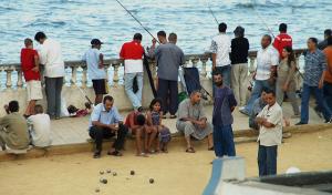 Alger, Pêche Amateur à Bab el Oued