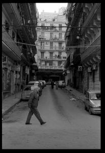 Un Quartier d'Alger