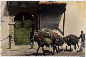 Alger - Entrée du Musée Franchet d'Esperey
