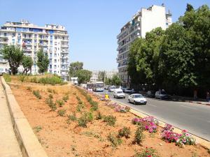 Hamma Belouizdad Alger