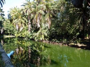 Jardin d'Essai d'Alger