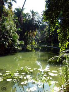Jardin d'Essai d'Alger