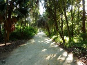 Jardin d'Essai d'Alger
