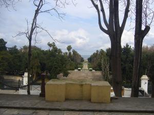 Alger - Le jardin d'Essai