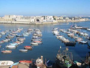 Port de Pêche à Alger