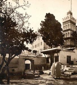 Alger au Début du 20 ème Siècle