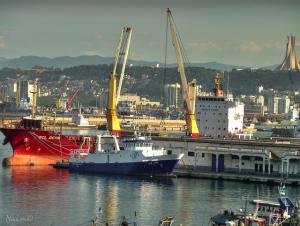 Port d'Alger