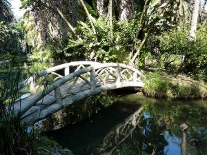 Jardin d'Essai d'Alger