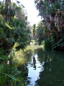 Jardin d'Essai d'Alger