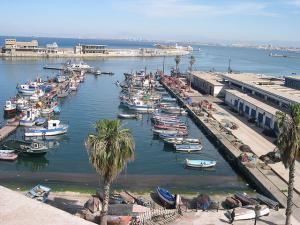 Port de Pêche d'Alger