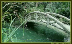 Alger - Petit Pont du Jardin d'Essai
