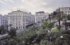 Alger centre ville