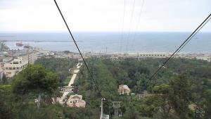 Jardin d'Essai - Alger