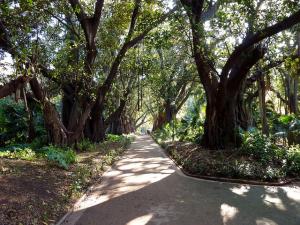 Jardin d'Essai d'Alger