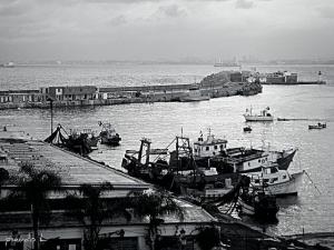 Une Partie du Port d'Alger