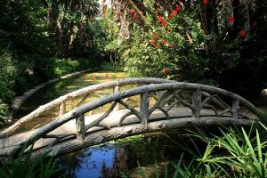 Jardin d'Essai d'Alger