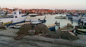 Port de Pêche d'Alger
