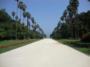 Jardin d'Essais d'Alger