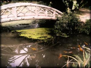 Pont japonais au jardin d'essais d'Alger