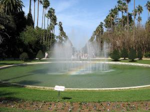 Le Jardin d'Essai d'Alger