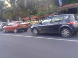 Des Moutons se promenant en plein centre ville