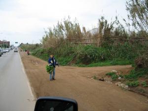 Petit Vendeur de Salade sur la Route d'Alger