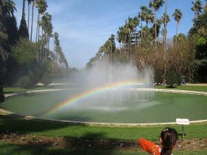 Le Jardin d'Essai d'Alger