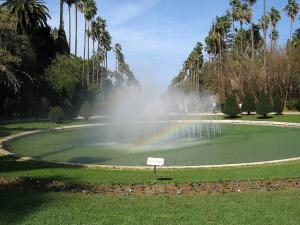 Le Jardin d'Essai d'Alger