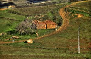 Une Ferme près d'Alger