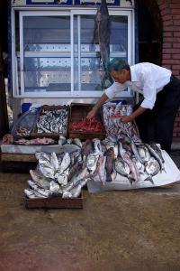 Marché de poisson à Alger
