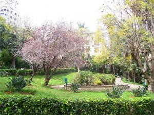 Jardin Public à Alger