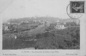 Champs agricoles à Kouba (Alger)