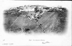 Champ Agricole aux environs d'Alger (période coloniale)
