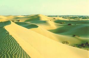 Le Désert d'El Oued