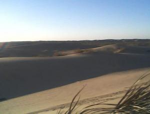 EL-OUED SOUF EL-OGLA