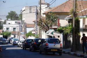 Une Artère à Alger