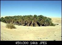 Les Palmes à El Oued