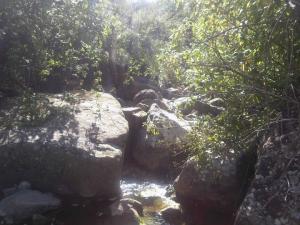 Une Oasis à El Oued