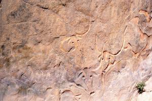 Fresques Préhistoriques aux alentours d'Alger