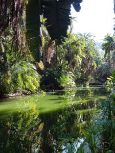 Jardin d'Essai d'Alger