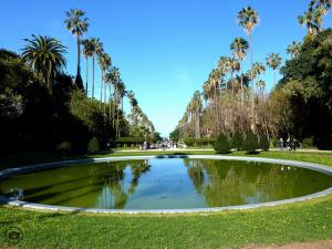 Jardin d'Essai d'Alger