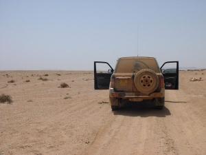 Prés des gorges du Draa (El Oued)