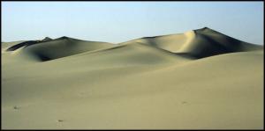 Entre El Qued et Touggourt 1985