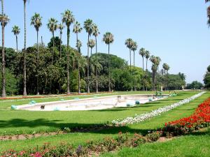 Le Jardin d'Essai d'Alger