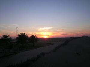 Oasis près d'El Oued