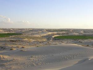 Paysage de la Commune d'Ouremas (El Oued)