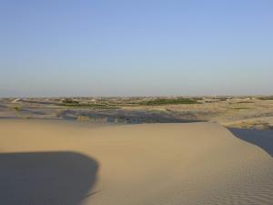 Paysage d'Ourmas à El Oued