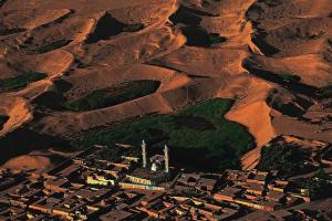 Mosquée et Végétation des Dunes, El-oued