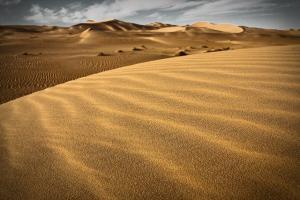 Sahara - Erg Occidental (Wilaya d'El Oued)